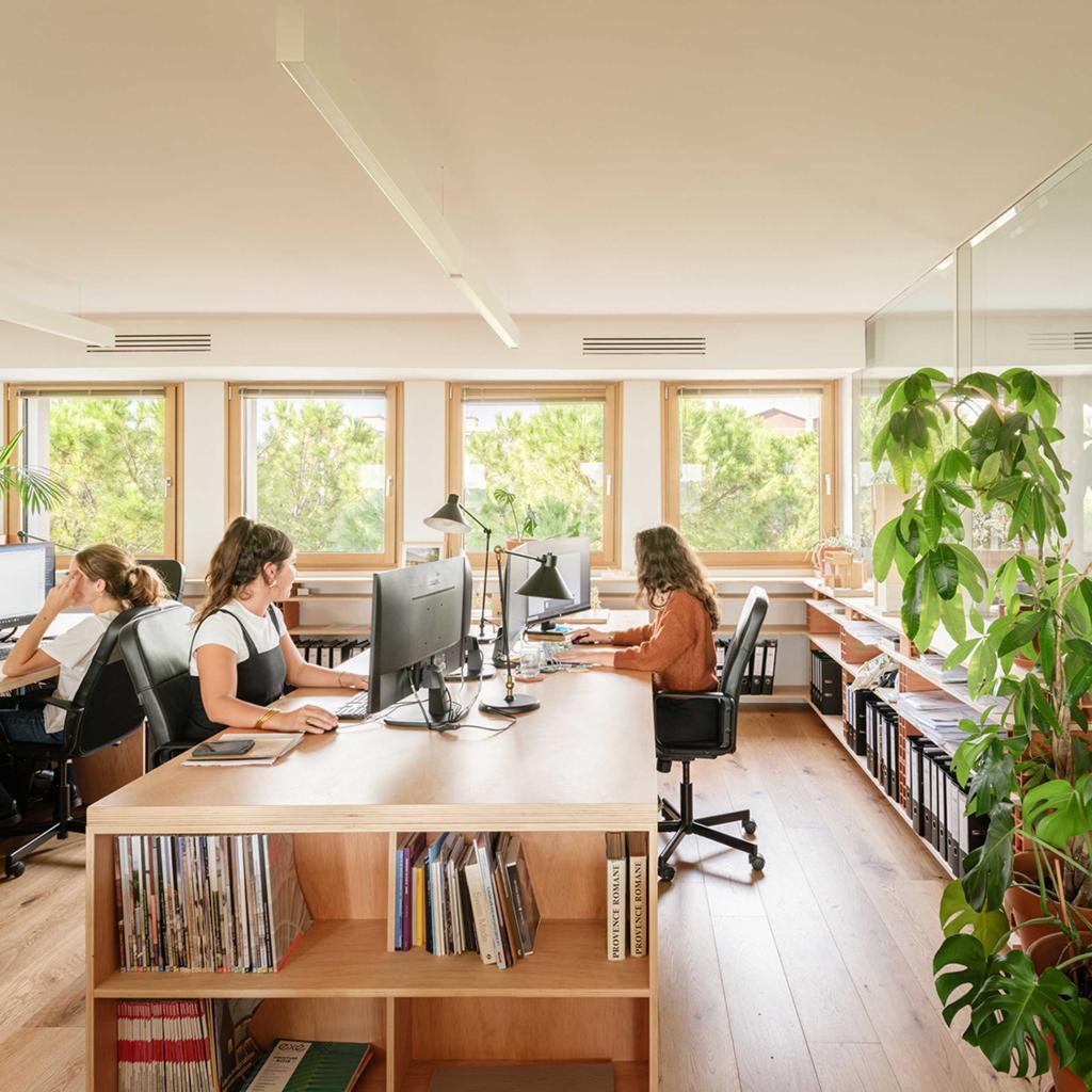 Heller Arbeitsraum mit Menschen an Schreibtischen und Pflanzen